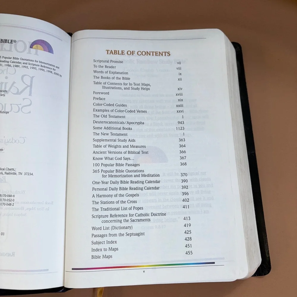 Rainbow Studies International catholic rainbow